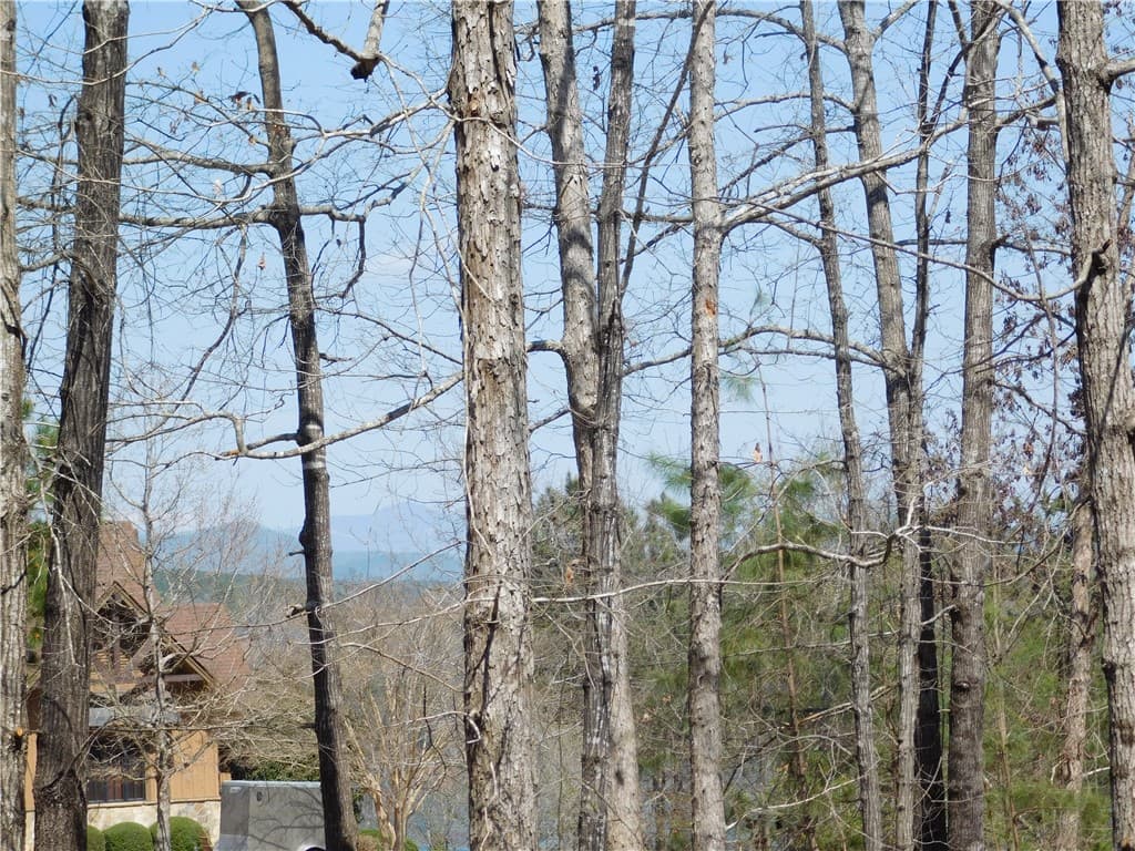 Property image 4 at 306 Eagle S Bend Trail, Salem, SC 29676
