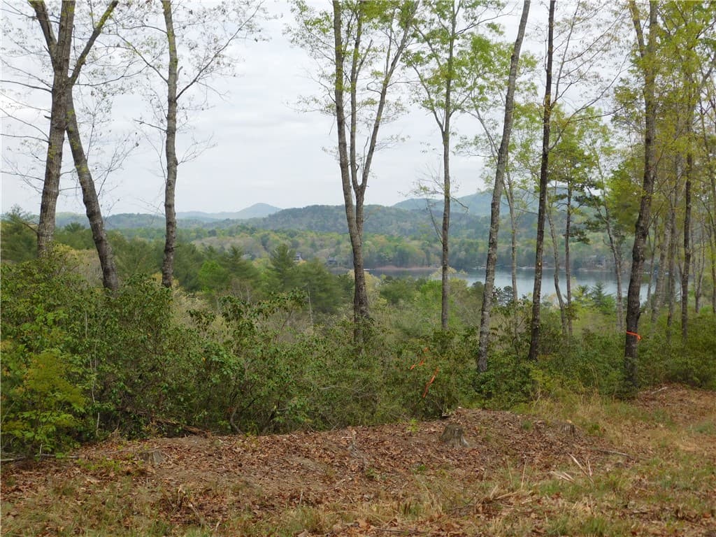 Property image 2 at Lot 1 Old Chapman Bridge Road, Salem, SC 29676