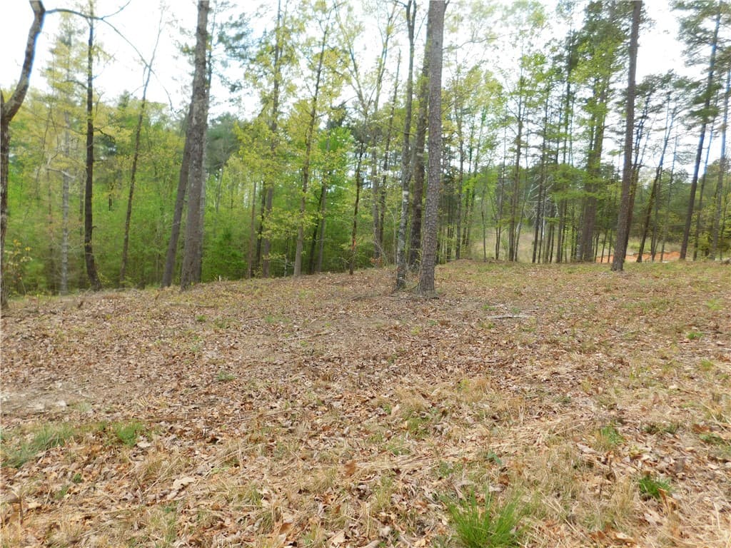 Property image 3 at Lot 1 Old Chapman Bridge Road, Salem, SC 29676