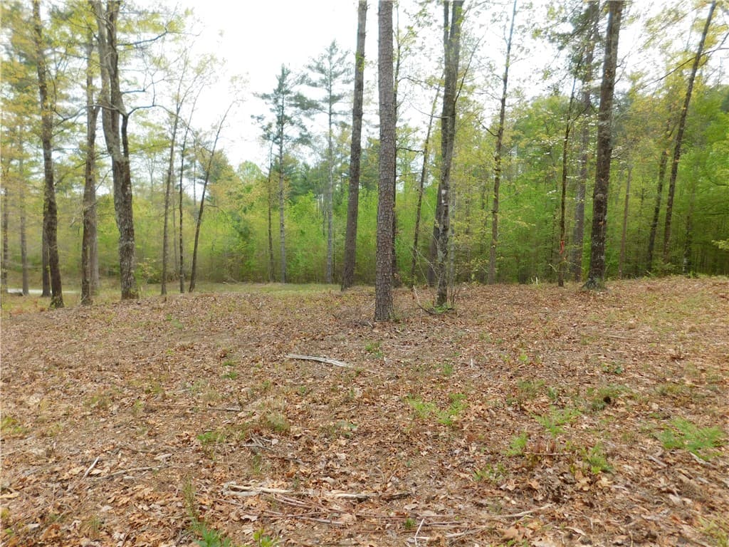 Property image 4 at Lot 1 Old Chapman Bridge Road, Salem, SC 29676