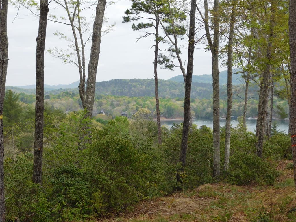 Property image 2 at Lot 2 Old Chapman Bridge Road, Salem, SC 29676