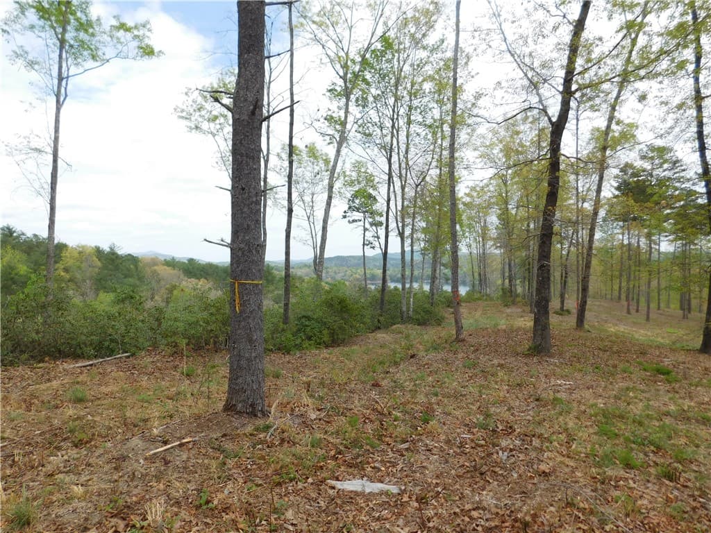 Property image 3 at Lot 2 Old Chapman Bridge Road, Salem, SC 29676