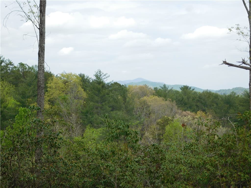 Property image 4 at Lot 2 Old Chapman Bridge Road, Salem, SC 29676