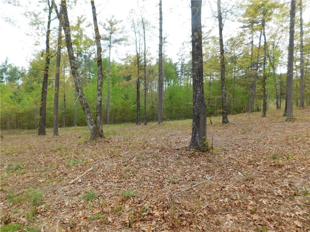 Property image 5 at Lot 2 Old Chapman Bridge Road, Salem, SC 29676