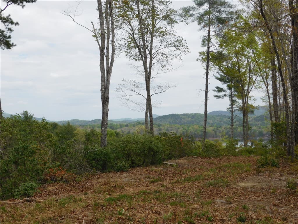 Property image 2 at Lot 3 Old Chapman Bridge Road, Salem, SC 29676