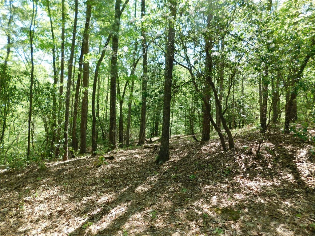 250 Cliffs Falls Parkway
