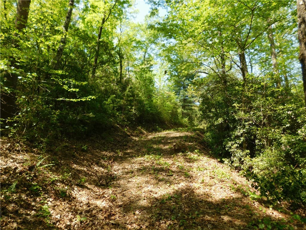 Property image 3 at 250 Cliffs Falls Parkway, Salem, SC 29676