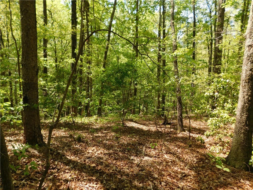 Property image 2 at 925 Mountain Breeze Lane, Salem, SC 29676