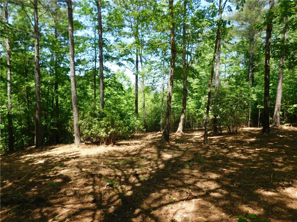 392 Cliffs South Parkway