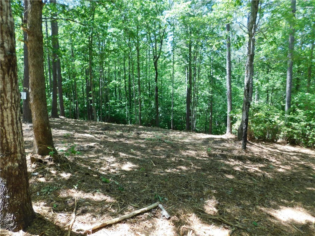 Property image 3 at 392 Cliffs South Parkway, Salem, SC 29676