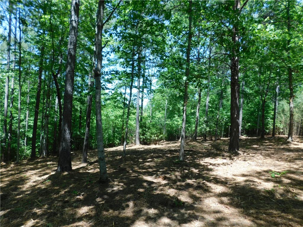 Property image 5 at 392 Cliffs South Parkway, Salem, SC 29676
