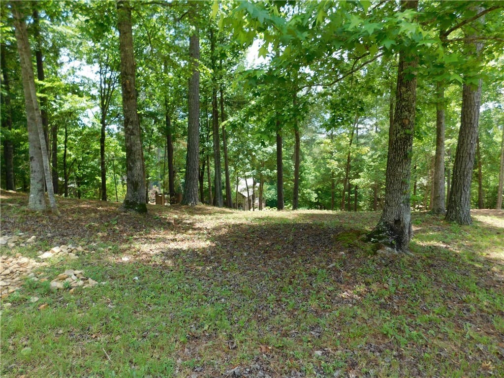 Property image 2 at 303 Broadleaf Court, Salem, SC 29676
