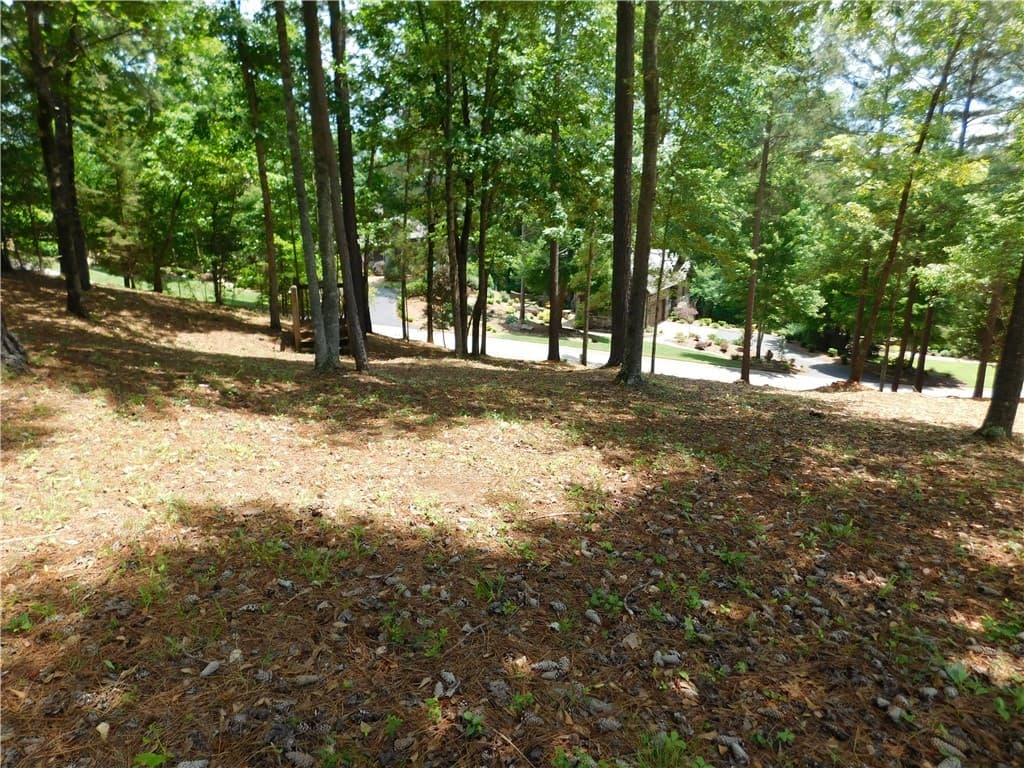 Property image 3 at 303 Broadleaf Court, Salem, SC 29676