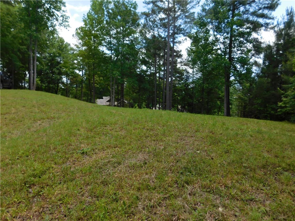 Property image 4 at 305 Broadleaf Court, Salem, SC 29676