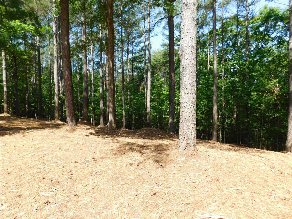 Property image 2 at 521 Brookgreen Trail, Salem, SC 29676
