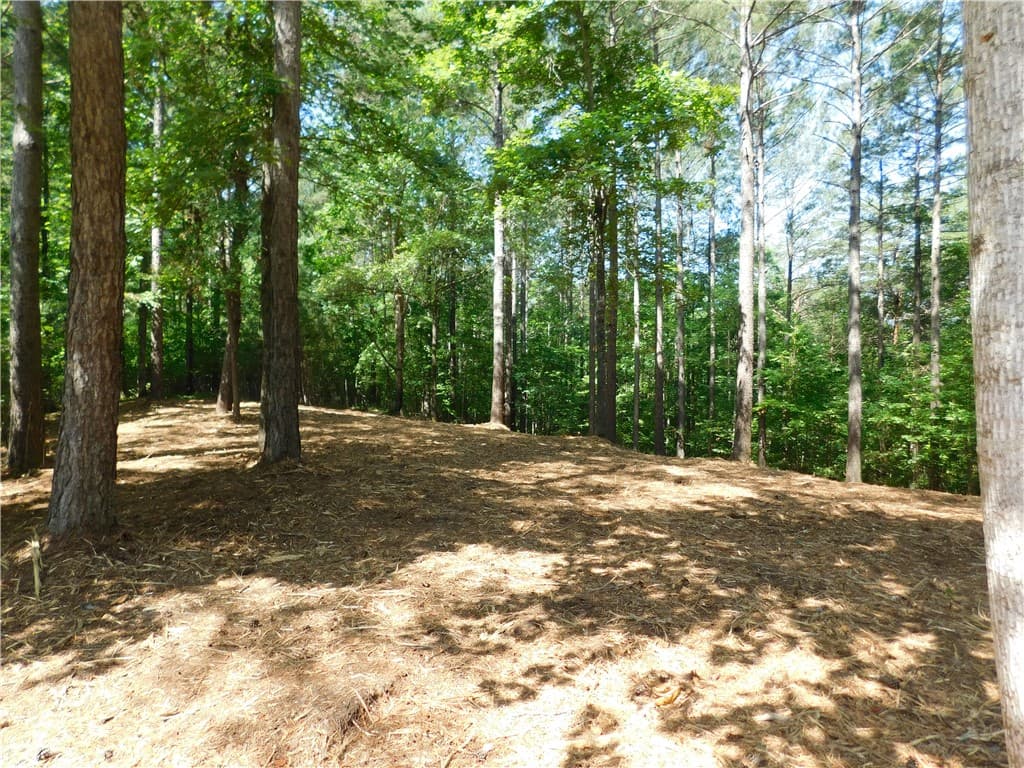Property image 3 at 521 Brookgreen Trail, Salem, SC 29676