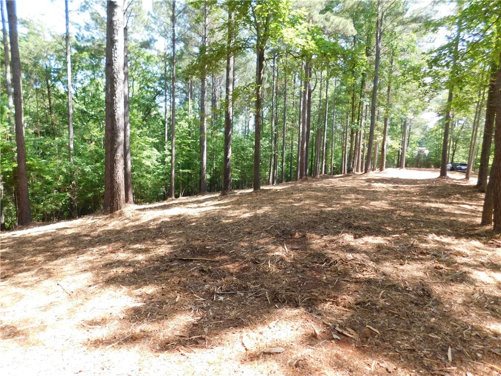 Property image 4 at 521 Brookgreen Trail, Salem, SC 29676