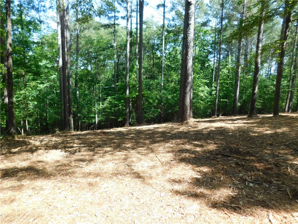 Property image 5 at 521 Brookgreen Trail, Salem, SC 29676
