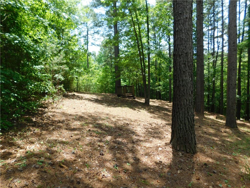 Property image 3 at 309 Broadleaf Court, Salem, SC 29676