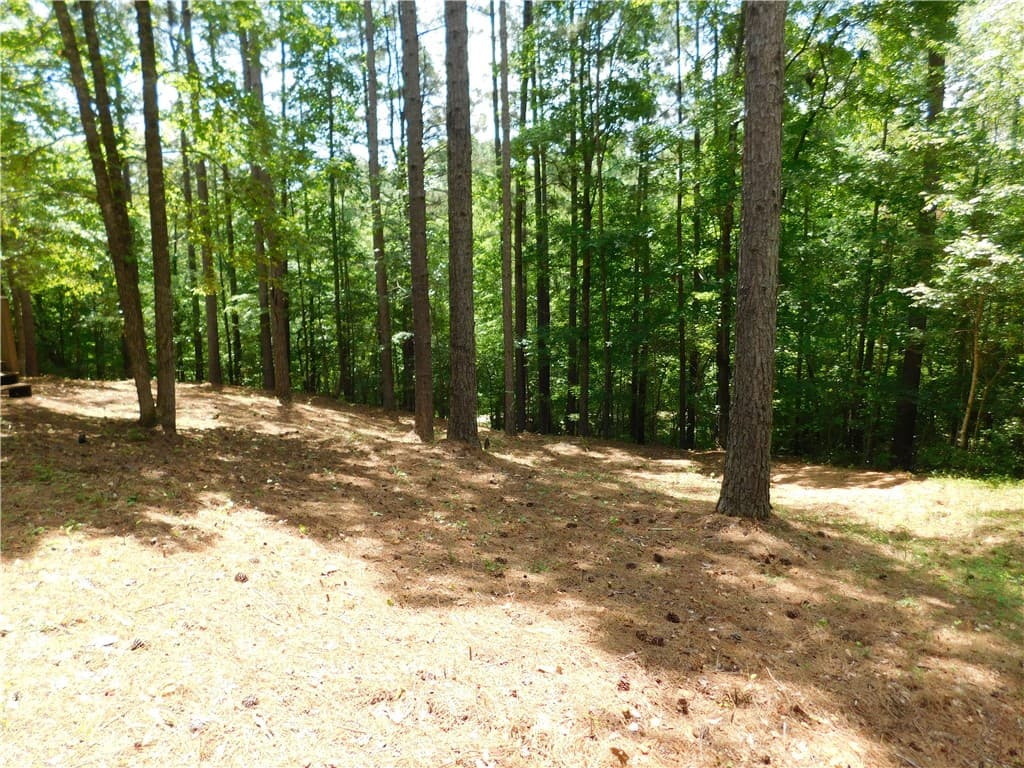 Property image 4 at 309 Broadleaf Court, Salem, SC 29676