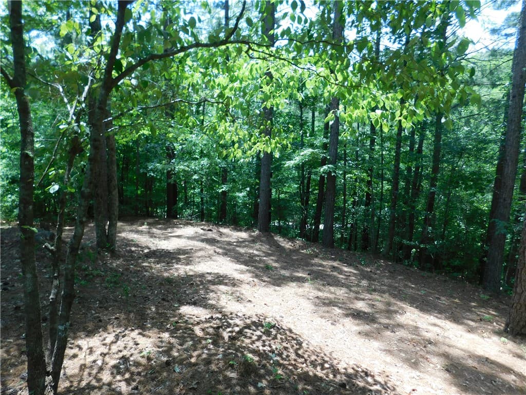 Property image 5 at 309 Broadleaf Court, Salem, SC 29676