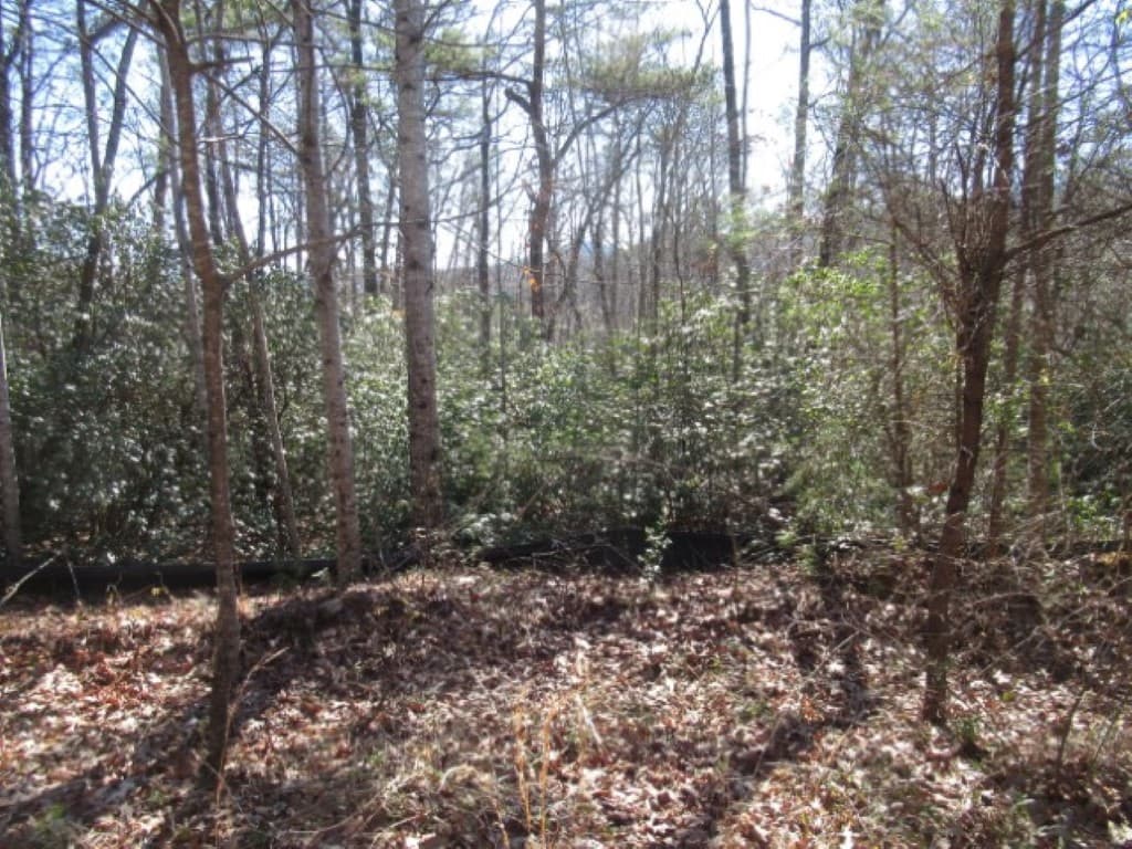 Property image 5 at 306 Woodmere Drive, Pickens, SC 29671