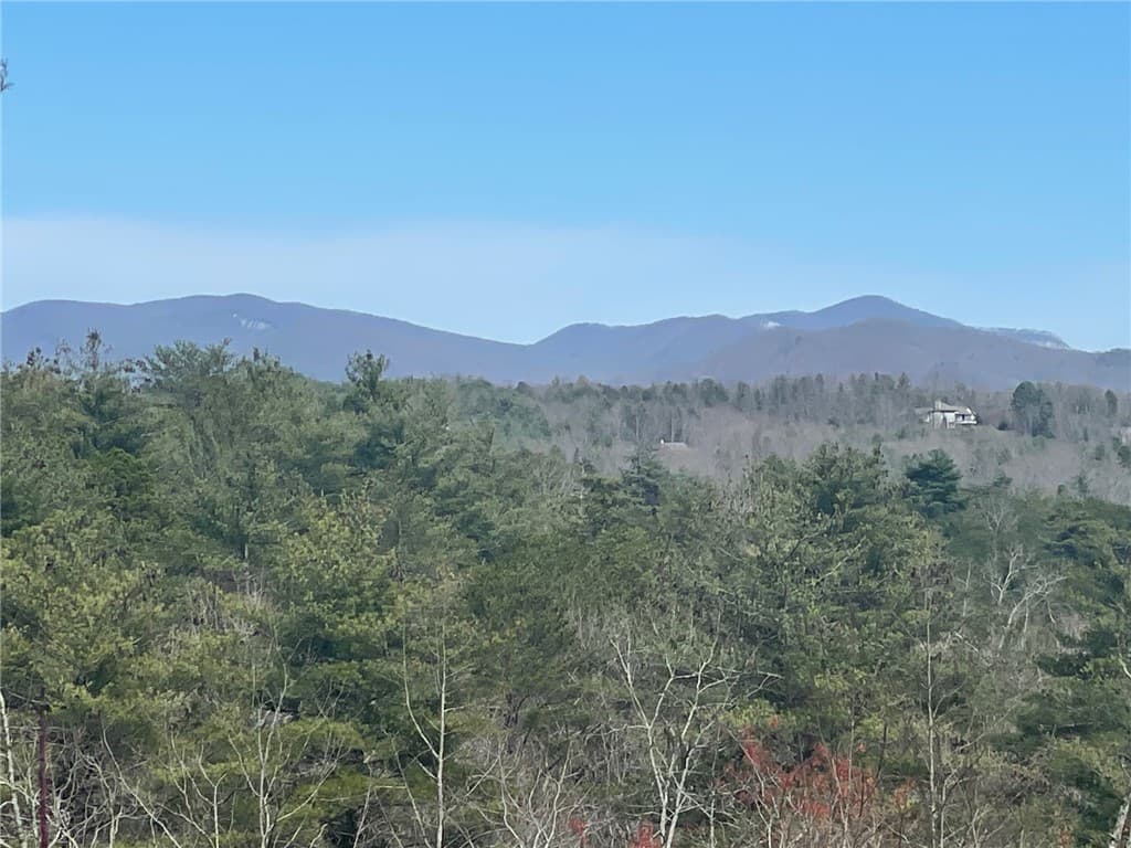 Property image 3 at NP5 Old Chapman Bridge Road, Salem, SC 29676