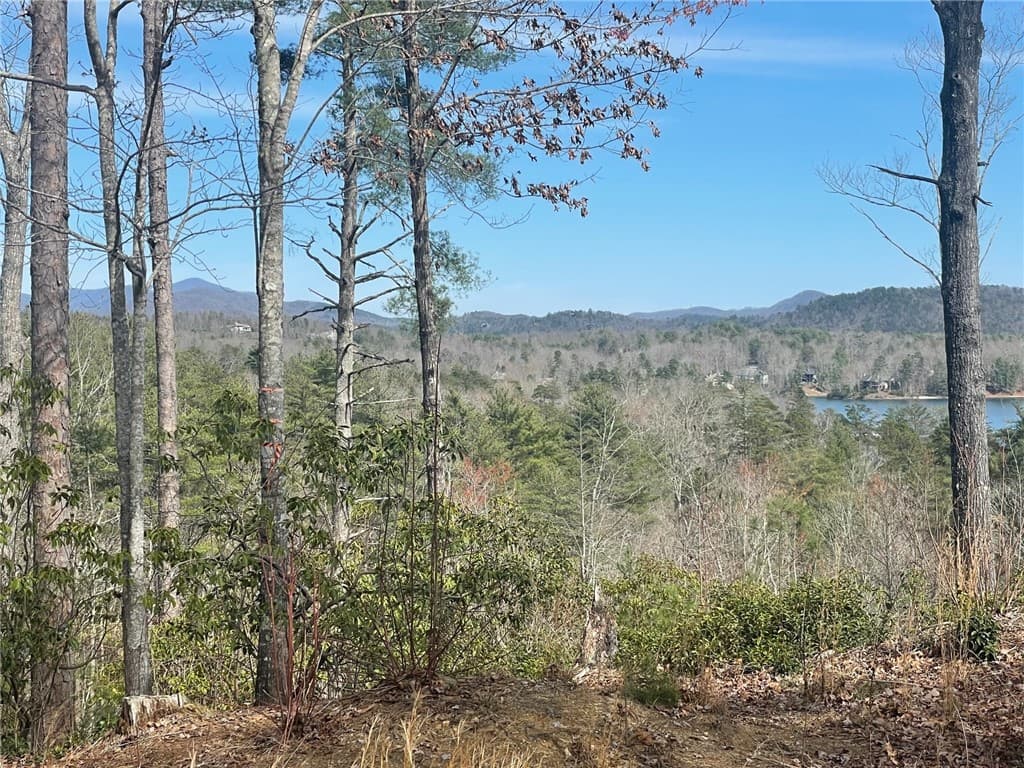 Property image 4 at NP5 Old Chapman Bridge Road, Salem, SC 29676