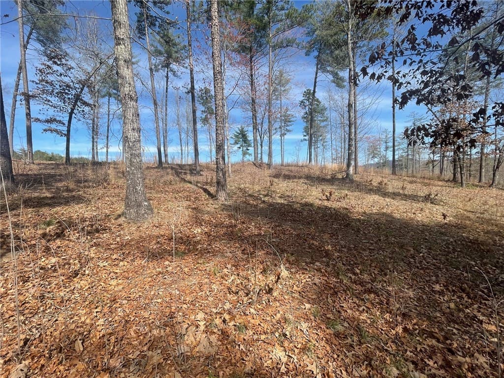 Property image 5 at NP5 Old Chapman Bridge Road, Salem, SC 29676