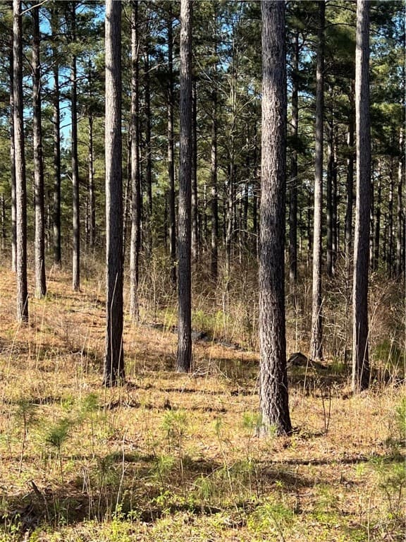 Property image 4 at Lot 51 Highlands Ridge Road, Salem, SC 29676