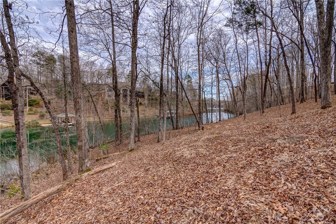 Property image 3 at Lot 6 Grays Peak Drive, Salem, SC 29676