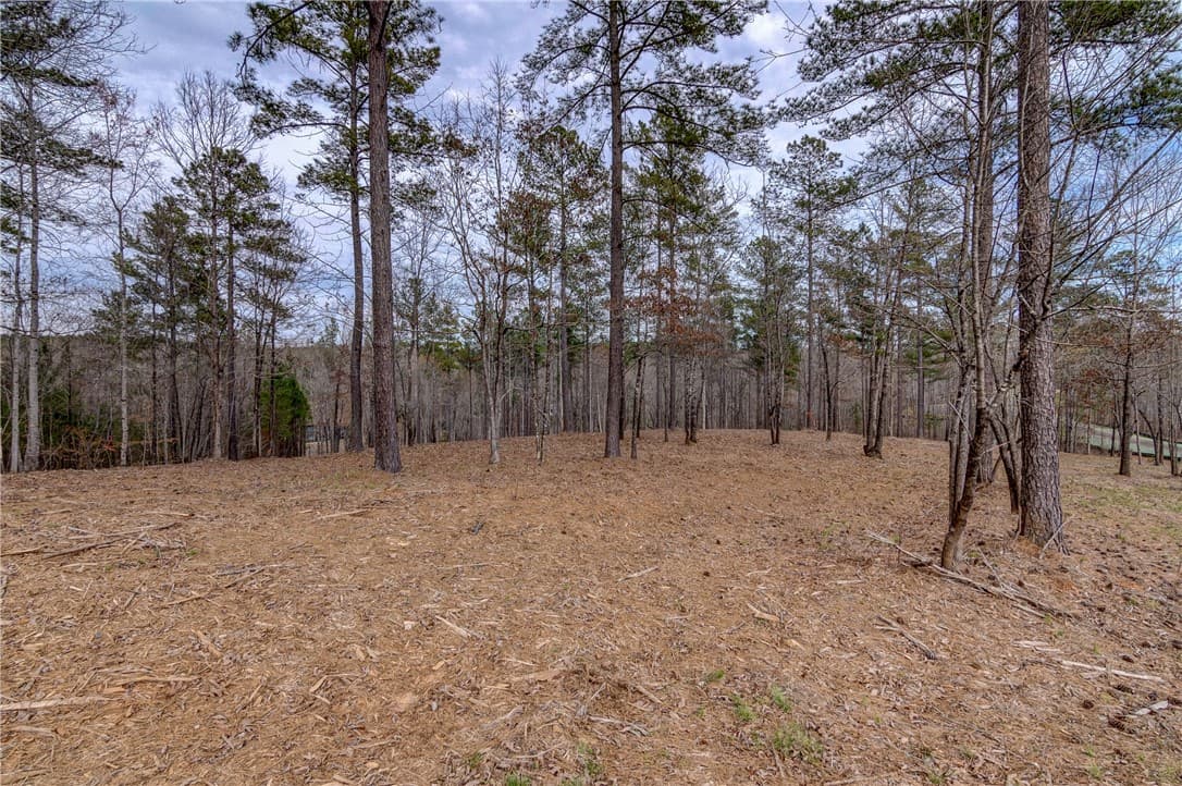 Property image 4 at Lot 6 Grays Peak Drive, Salem, SC 29676