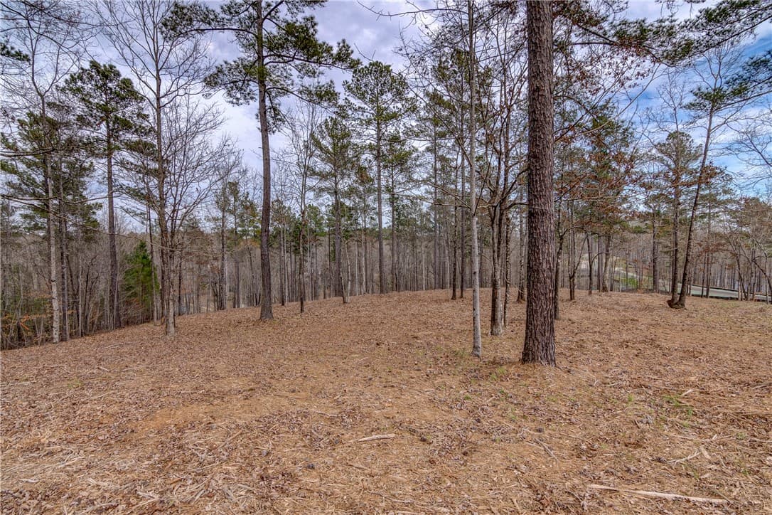 Property image 5 at Lot 6 Grays Peak Drive, Salem, SC 29676