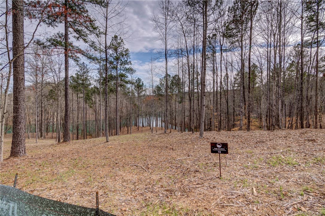 Property image 3 at Lot 13 Grays Peak Drive, Salem, SC 29676