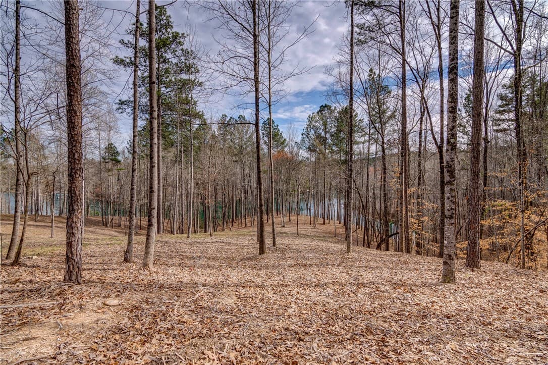 Property image 4 at Lot 13 Grays Peak Drive, Salem, SC 29676