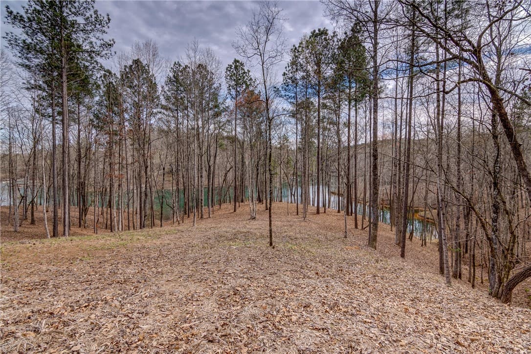 Property image 5 at Lot 13 Grays Peak Drive, Salem, SC 29676