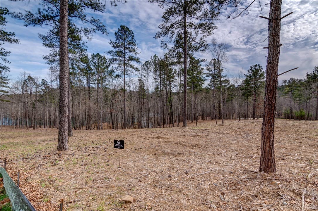 Property image 2 at Lot 14 Grays Peak Drive, Salem, SC 29676