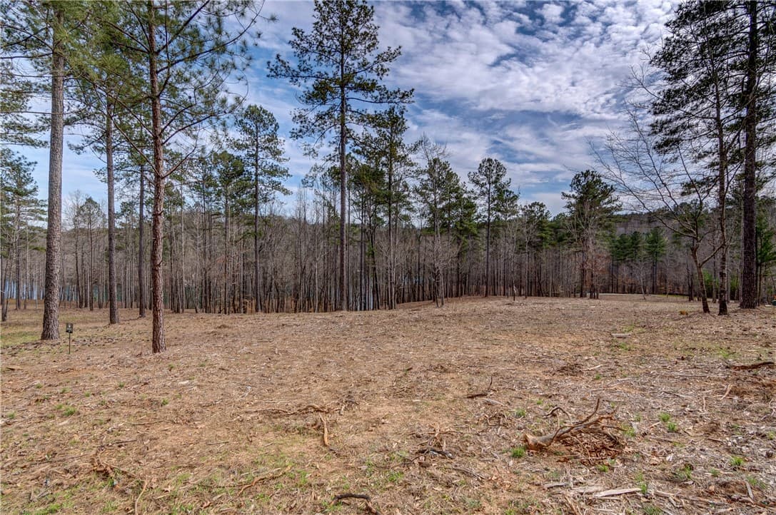 Property image 3 at Lot 14 Grays Peak Drive, Salem, SC 29676