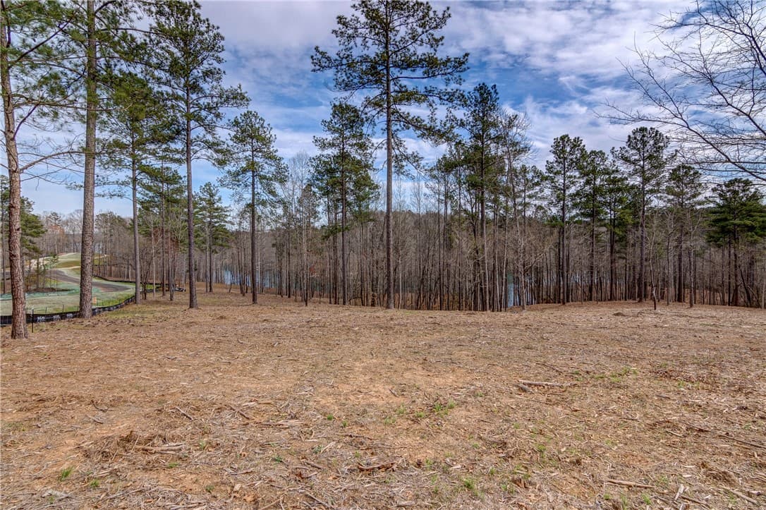 Property image 4 at Lot 14 Grays Peak Drive, Salem, SC 29676