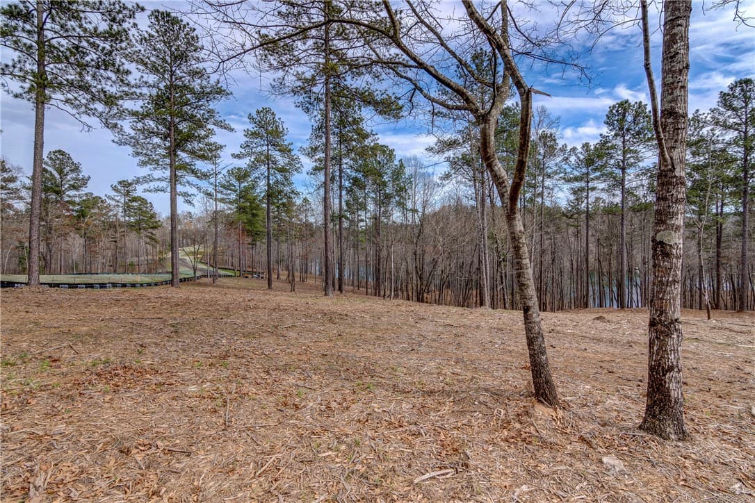 Property image 5 at Lot 14 Grays Peak Drive, Salem, SC 29676