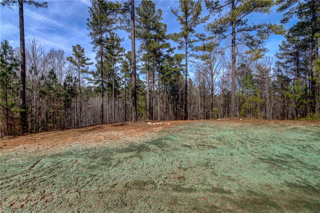 Lot 1 Grays Peak Drive