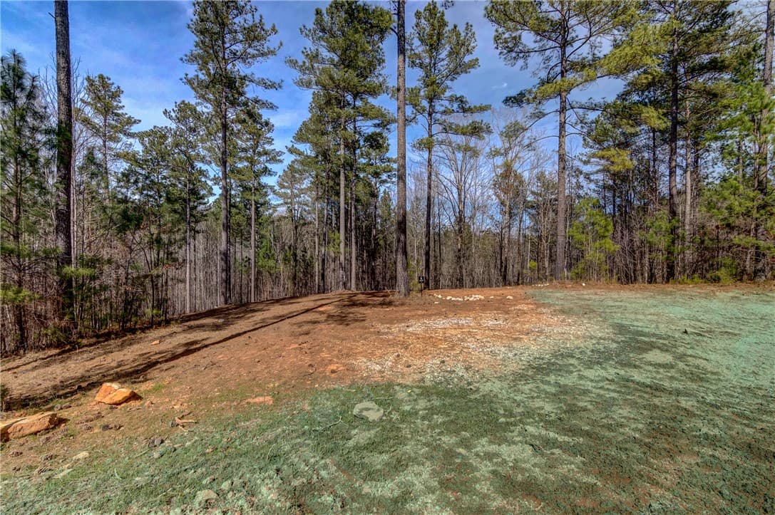 Property image 2 at Lot 1 Grays Peak Drive, Salem, SC 29676