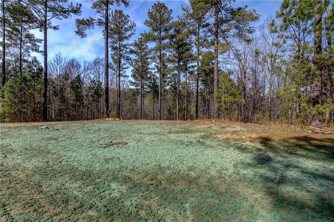 Property image 3 at Lot 1 Grays Peak Drive, Salem, SC 29676