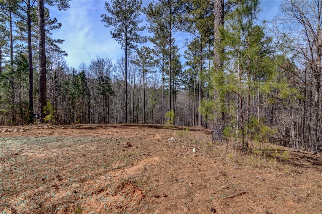 Property image 4 at Lot 1 Grays Peak Drive, Salem, SC 29676