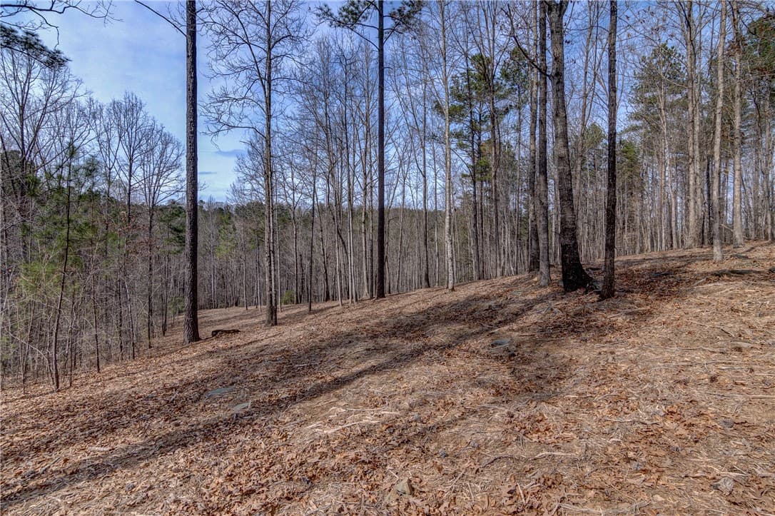 Property image 3 at Lot 2 Grays Peak Drive, Salem, SC 29676