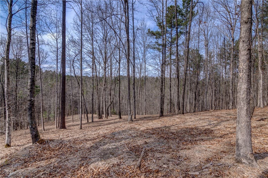 Property image 4 at Lot 2 Grays Peak Drive, Salem, SC 29676