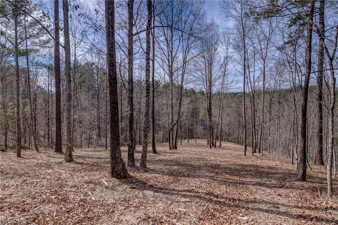 Property image 5 at Lot 2 Grays Peak Drive, Salem, SC 29676