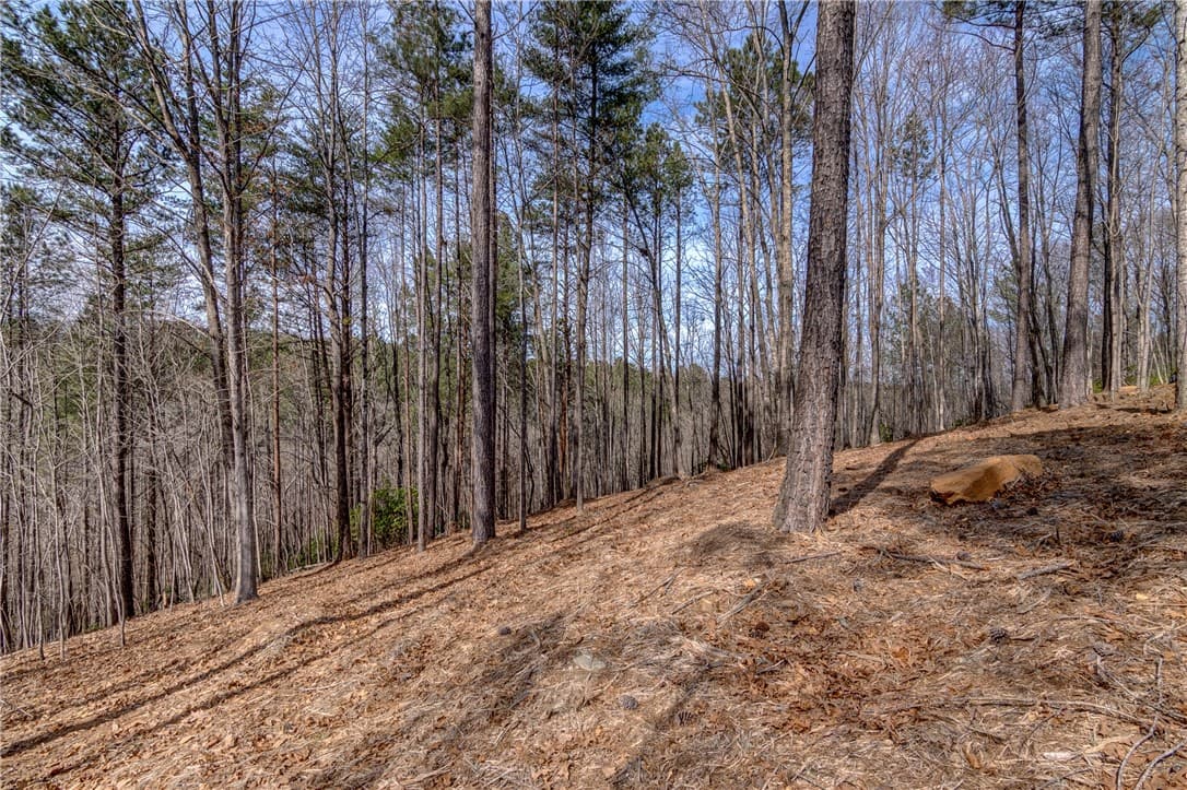 Property image 2 at Lot 3 Grays Peak Drive, Salem, SC 29676