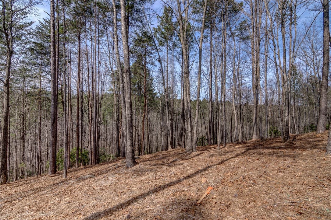 Property image 3 at Lot 3 Grays Peak Drive, Salem, SC 29676