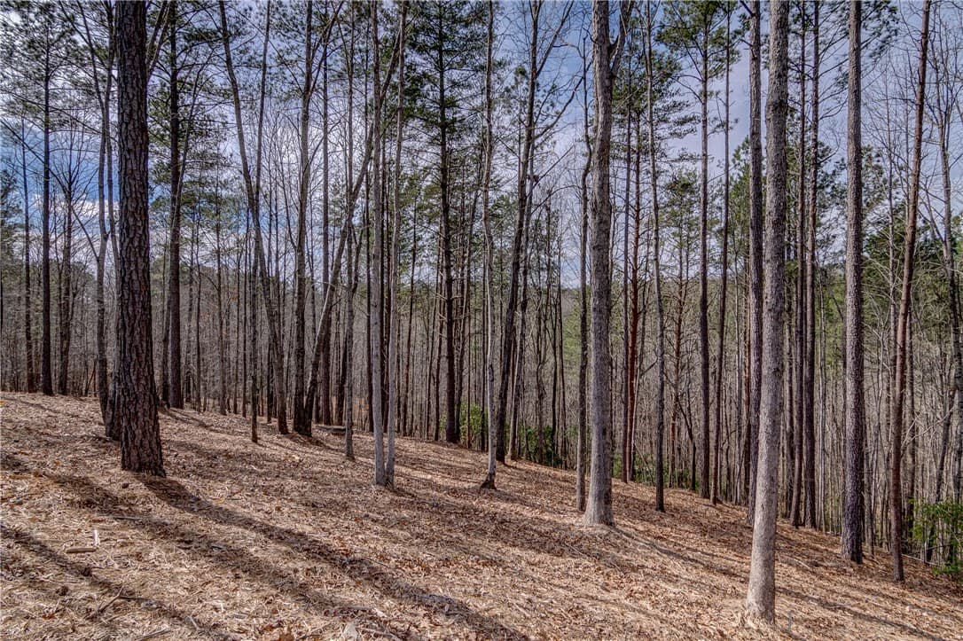 Property image 4 at Lot 3 Grays Peak Drive, Salem, SC 29676